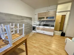Pronájem bytu 1+1, Teplá, Palackého, 43 m2