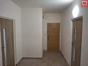 Pronájem bytu 3+1, Olomouc, Zikova, 48 m2