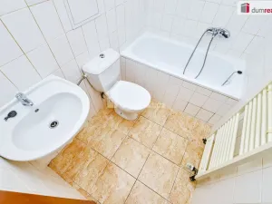 Pronájem bytu 1+kk, Dobřichovice, Palackého, 20 m2