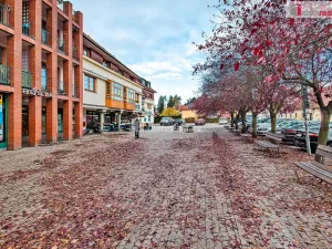 Pronájem bytu 1+kk, Dobřichovice, Palackého, 20 m2