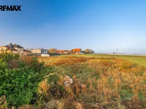 Prodej rodinného domu, Březová-Oleško - Březová, Hlavní, 765 m2