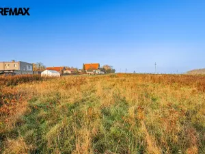 Prodej rodinného domu, Březová-Oleško - Březová, Hlavní, 765 m2