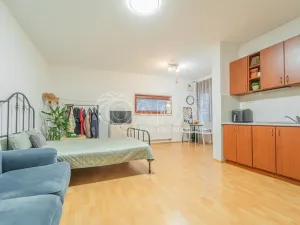 Prodej bytu 1+kk, Praha - Podolí, Jeremenkova, 35 m2
