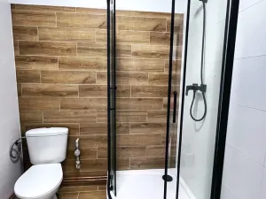 Pronájem bytu 1+kk, Plzeň - Jižní Předměstí, náměstí T. G. Masaryka, 30 m2