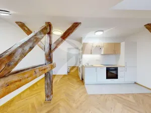 Pronájem bytu 2+kk, Plzeň, Nerudova, 60 m2