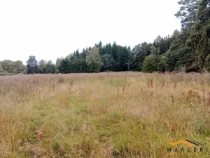 Prodej lesa, Horní Radouň - Nový Bozděchov, 50537 m2