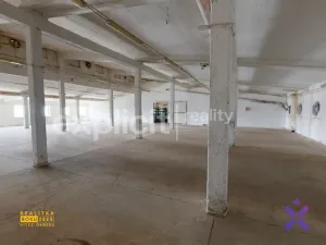 Prodej skladu, Březolupy, 3350 m2