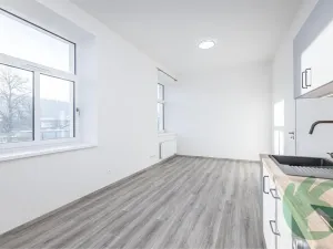 Prodej bytu 1+kk, Kralupy nad Vltavou, S. K. Neumanna, 38 m2