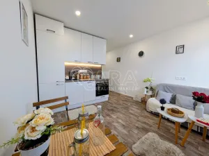 Prodej bytu 1+kk, Plzeň - Doudlevce, Šimerova, 19 m2