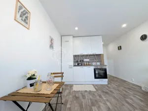 Prodej bytu 1+kk, Plzeň - Doudlevce, Šimerova, 19 m2