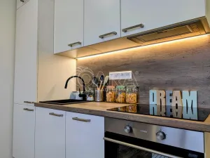 Prodej bytu 1+kk, Plzeň - Doudlevce, Šimerova, 19 m2