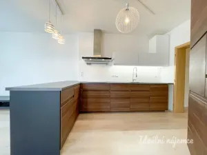 Pronájem bytu 1+kk, Brno - Královo Pole, Božetěchova, 61 m2