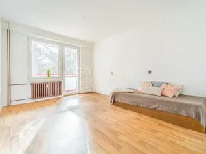 Prodej bytu 2+1, Kladno, Čechova, 60 m2