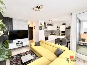 Prodej bytu 2+kk, Plzeň - Severní Předměstí, Na Chmelnicích, 50 m2