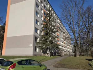 Prodej bytu 1+kk, Praha - Podolí, Kaplická, 28 m2