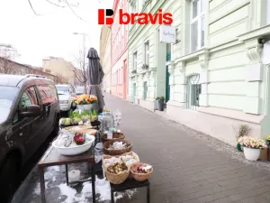 Pronájem bytu 1+kk, Brno - Veveří, Gorkého, 28 m2