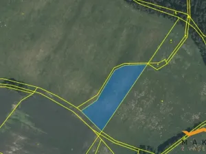 Prodej pole, Horní Radouň - Starý Bozděchov, 237194 m2