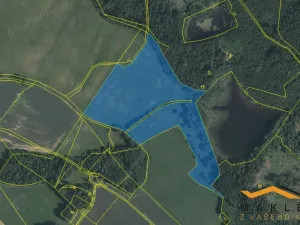 Prodej pole, Horní Radouň - Starý Bozděchov, 237194 m2