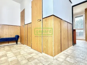 Prodej bytu 2+1, Brno, Barvy, 58 m2