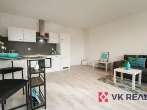 Prodej bytu 1+kk, Plzeň - Severní Předměstí, Hodonínská, 31 m2