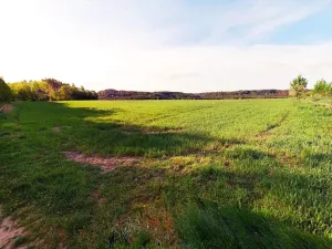 Prodej pole, Blíževedly, 28865 m2