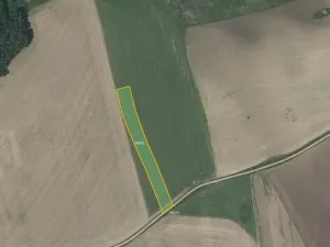 Prodej pole, Olešník, 28216 m2