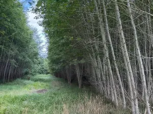 Prodej pole, Česká Kamenice, 108179 m2