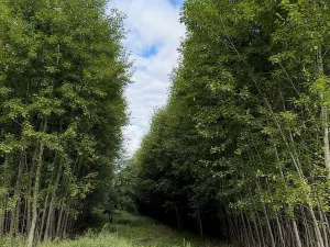 Prodej pole, Česká Kamenice, 108179 m2
