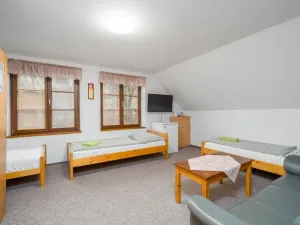 Prodej ubytování, Nový Bor - Janov, 200 m2