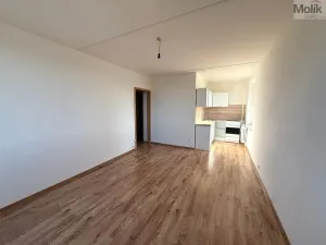 Pronájem bytu 2+kk, Most, Karla Marxe, 40 m2