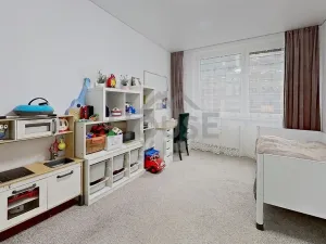 Prodej bytu 5+kk, Praha - Žižkov, Přemyslovská, 113 m2