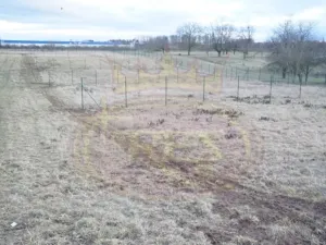 Pronájem zahrady, Jaroměř, Slovenská, 384 m2