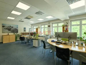 Pronájem kanceláře, Hustopeče, Herbenova, 38 m2