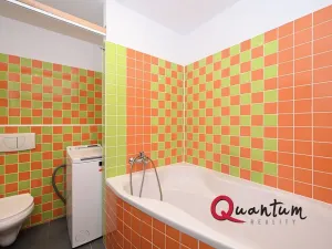 Prodej bytu 2+kk, Praha - Žižkov, Pod lipami, 61 m2