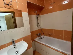 Pronájem bytu 1+1, Opatovice nad Labem, Neplachova, 40 m2