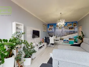 Prodej bytu 2+1, Ústí nad Labem - Neštěmice, Železná, 62 m2