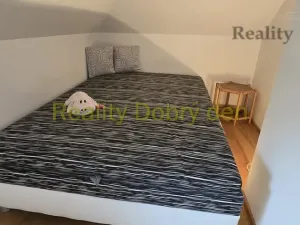 Pronájem bytu 1+kk, Opava, Nerudova, 53 m2