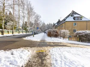 Prodej bytu 4+1, Liberec - Liberec I-Staré Město, Alšova, 125 m2