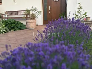 Prodej rodinného domu, Trnová, 229 m2