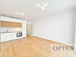 Pronájem bytu 1+kk, Praha - Karlín, Sokolova, 30 m2