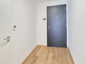 Pronájem bytu 1+kk, Praha - Karlín, Sokolova, 30 m2