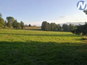 Prodej pozemku, Želnava, 14303 m2