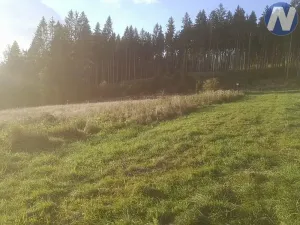 Prodej pozemku, Želnava, 14303 m2