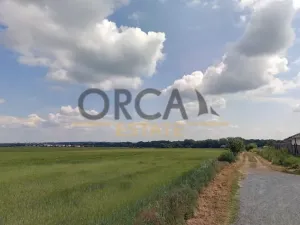 Prodej pole, Sluštice, 4969 m2