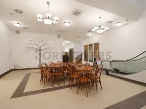 Pronájem kanceláře, Brno, Starobrněnská, 30 m2