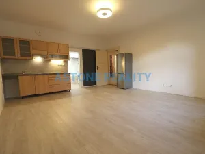 Pronájem bytu 1+kk, Praha - Nusle, Na Jezerce, 39 m2