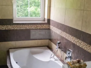 Prodej ubytování, Paseky nad Jizerou, 345 m2
