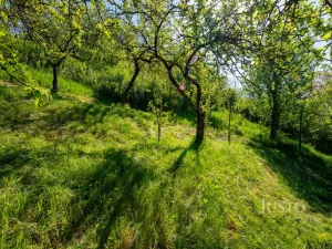 Pronájem bytu 3+1, Uherské Hradiště, U Cihelny, 63 m2