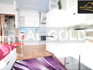 Prodej bytu 1+kk, Myslibořice, 24 m2