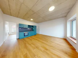 Pronájem bytu 2+kk, Ostrava - Moravská Ostrava, Sadová, 51 m2